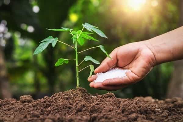 فروش کود گلخانه ای در شهریار